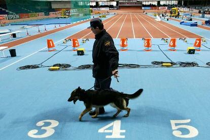 Un policía examina con un perro las pistas del Palacio de los Deportes de Madrid.