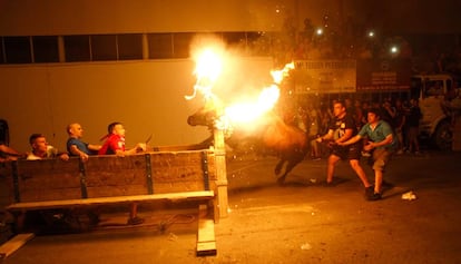 Un momento de un correbou celebrado en Amposta, con un 'bou embolat'.