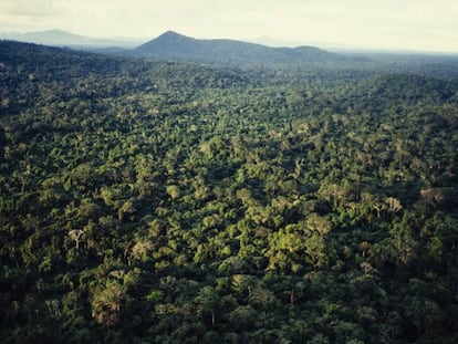 Vista aérea da Amazônia, no norte do Brasil.