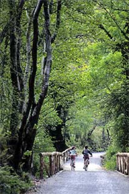 Dos niños pasean en bicicleta por la Senda del Oso, que cuenta con 26 kilómetros entre Tuñón y Valdemurios (Asturias).