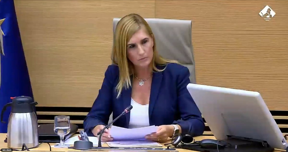 Pradas, en el Congreso sobre su gestión el día de la dana: “Estuve al pie del cañón”