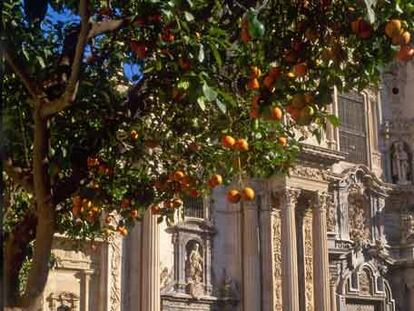 Terraza en la plaza del Cardenal Belluga, en Murcia, y la fachada barroca de la catedral.