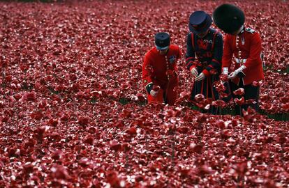 Un mar de amapolas de cerámica (888.246) plantadas en la Torre de Londres forman parte de la instalación 'Blood Swept Lands and Seas of Red' (la sangre cubrió las tierras y mares de rojo' en honor de los soldados británicos que murieron en la Primera Guerra Mundial.