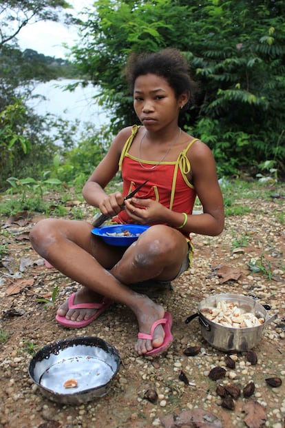 Uma menina descasca castanha-do-pará para preparar um bolo. Além da venda da castanha-do-pará, uma das fontes de renda do quilombola que no ano passado gerou 4,9 milhões de reais somente no município de Oriximiná, é feita a extração de óleo de copaíba, bastante usado na indústria cosmética.