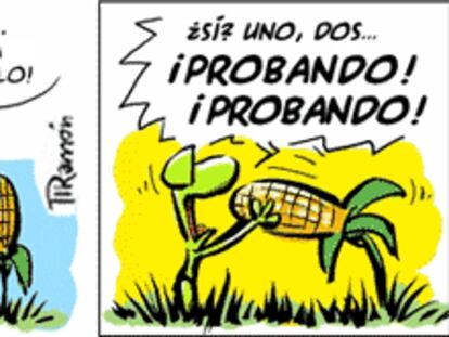 RAMÓN
