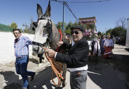 Un burro tiraba del carro que llevaba a la Virgen del Rocío en la Cañada Real Galiana.