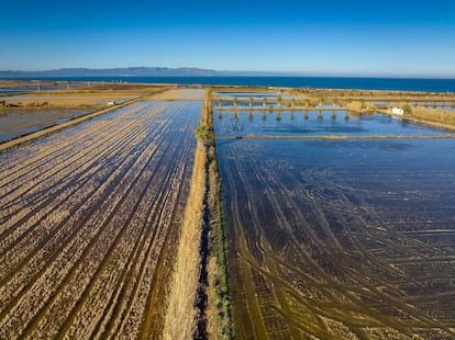 Vista aérea de arrozales inundados en el delta del Ebro, en la provincia de Tarragona.