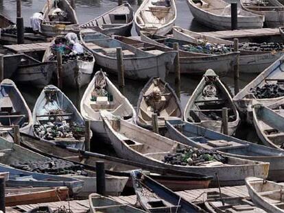 El puerto de Nuadibú, en el que hay más de 1.000 embarcaciones de pesca <i>(cayucos)</i> desde las que los inmigrantes intentan llegar a Canarias.