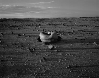 Autorretrato con piedra, 1981