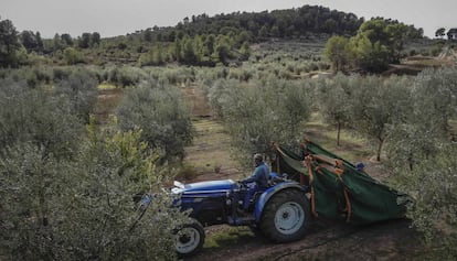 Un agricultor con su tractor en Tarragona.