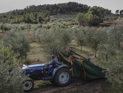 Un agricultor con su tractor en Tarragona.