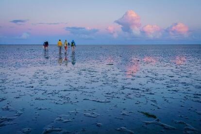 Durante la marea baja es posible atravesar caminando el Mar de Frisia, o de Wadden, situado entre el litoral continental y las Frisias, cadena de islas e islotes que emergen del Mar del Norte en paralelo a la costa noroccidental de Europa, desde los Países Bajos hasta Alemania y el suroeste de Dinamarca. Esta llanura de marea de unos 450 kilómetros de largo, muy poco profunda, con grandes planicies arenosas que quedan a la vista, es muy rica en flora y fauna, en especial de aves. Limícolas, anatinos, anserinos, gaviotas y estérnidos. Los gobiernos de los tres países llevan desde 1978 trabajando conjuntamente en su protección y conservación.