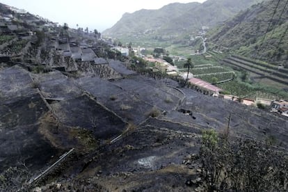 Zona quemada por el fuego en el valle de Hermigua, en la isla de La Gomera.