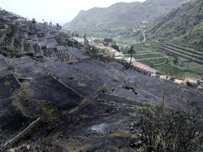 Zona quemada por el fuego en el valle de Hermigua, en la isla de La Gomera.