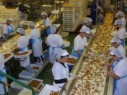 Trabajadoras de una planta gallega de mejillones en conserva.