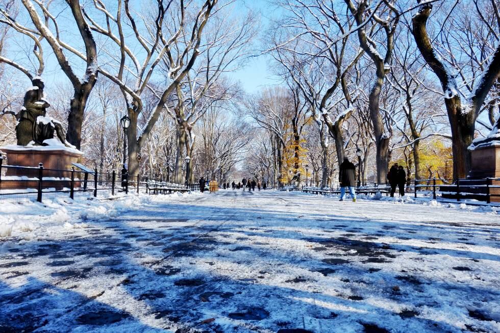 El Central Park de Nueva York.