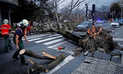 Varios bomberos trabajan en la retirada de un árbol caído a causa del viento, este viernes, en San Sebastián.