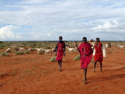 Hombres masai en Laikipia, Kenia.