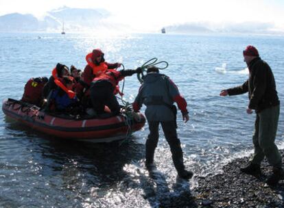 Cuatro científicos buscan ejemplares de zooplancton en las muestras de agua de mar, en su laboratorio del 'Jan Mayen'