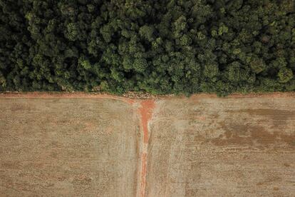 Deforestación en la frontera entre Amazonía y Cerrado