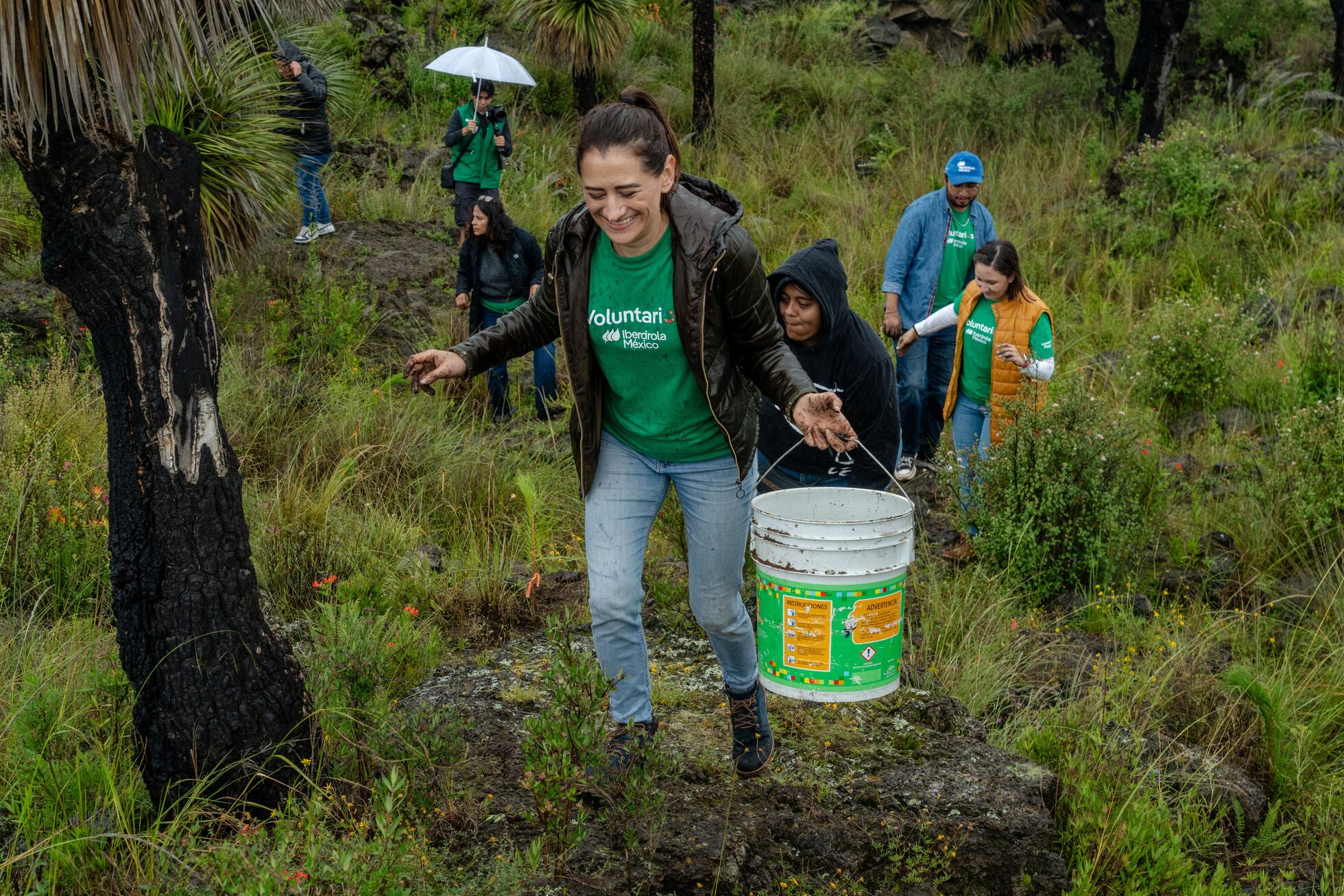 Comunidades y empresas, de la mano en el cuidado de los bosques | El ...