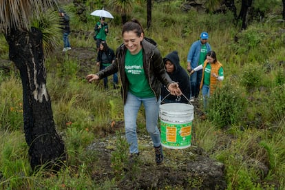 Con 25 años de presencia en el país, Iberdrola México es una de las compañías comprometidas con la protección de la naturaleza.