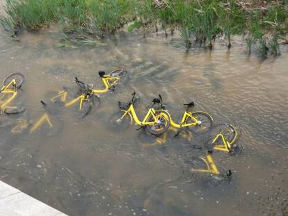 Bicicletas de la empresa OFO arrojadas en el río Manzanares.