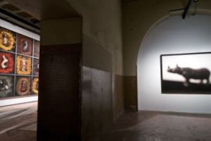 La exposición 'Seda de caballo', de Manuel Vilariño (premio Nacional de Fotografía 2007), en la Tabacalera.