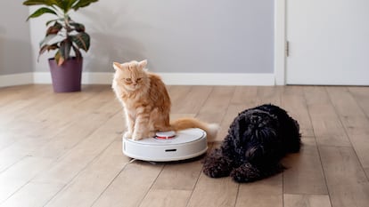 Los robots aspiradores suelen incorporar sistemas para succionar el pelo de las mascotas de forma eficiente.