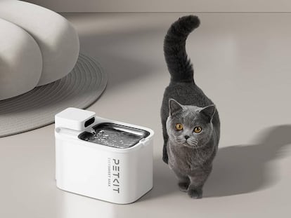 Evita los problemas renales en tu gato con estos bebederos automáticos