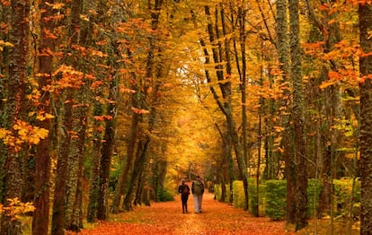 Octubre en los jardines de La Granja (Segovia).