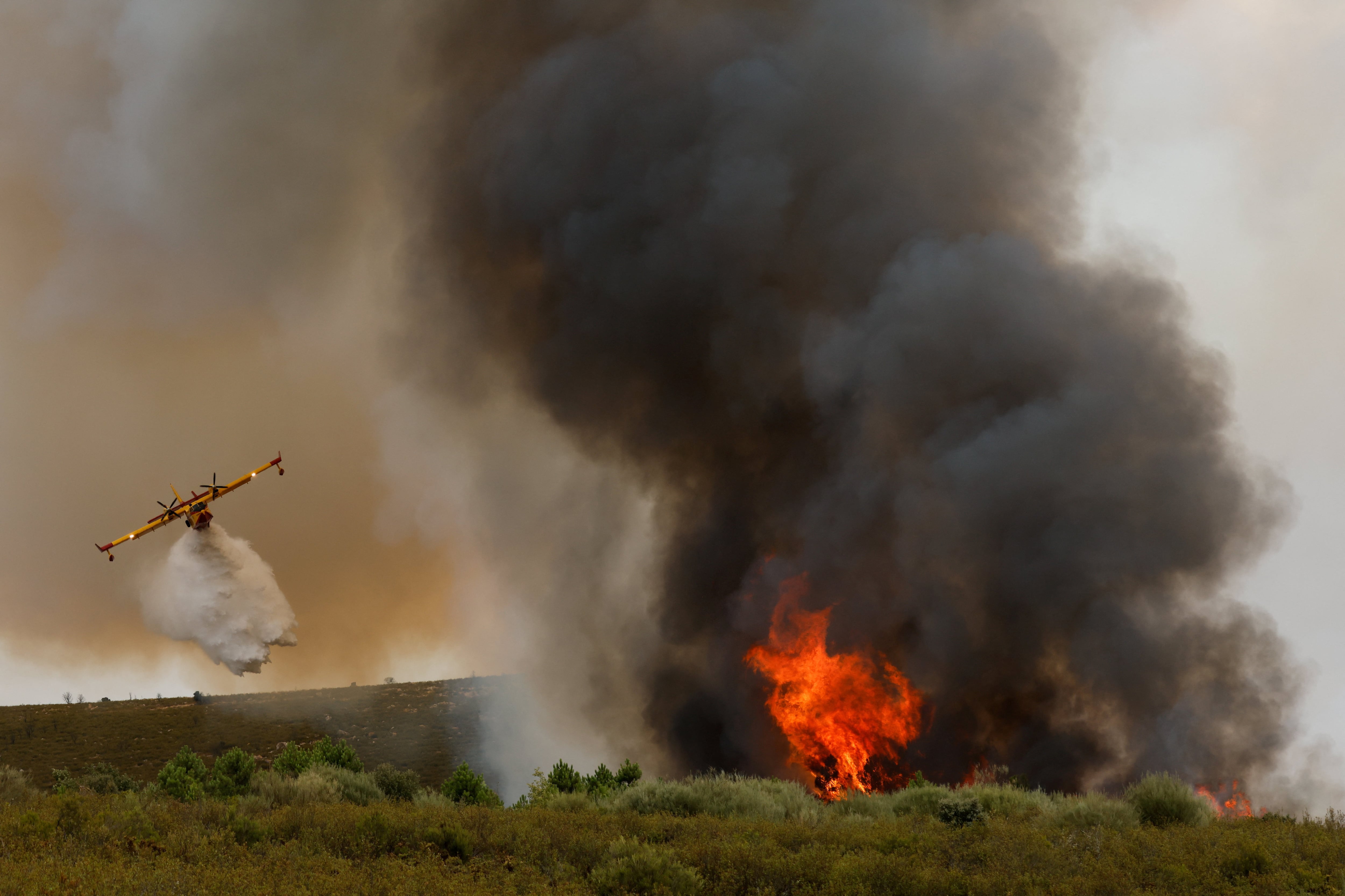 El incendio de Zamora apunta ya a ser uno de los mayores registrados en España 