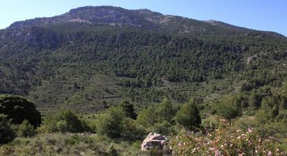 Imagen de Revolcadores, espacio incluido en la Red Natura 2000 de Murcia.