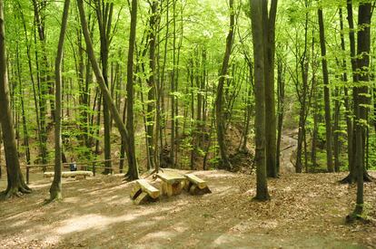 El parque natural nacional de Yavoriv, a unos 30 kilómetros de Lviv y con un área de 7000 hectáreas, supone uno de los hayedos más importantes del país.