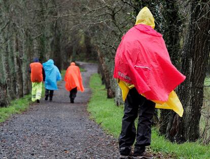 Peregrinos en el Camino de Santiago, abandonando la provincia de Lugo, bajo los primeros efectos de la borrasca Bruno, el 27 de diciembre.