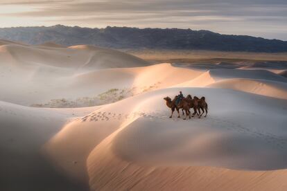 Desierto en Gobi, en Mongolia.