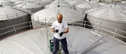 Un trabajador toma una muestra de vino en la cooperativa Virgen de las Vi&ntilde;as, en Tomelloso, Ciudad Real. 