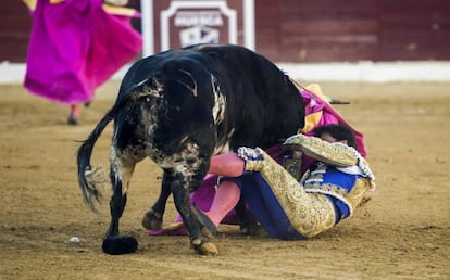 Francisco Rivera, durante la cogida del martes.