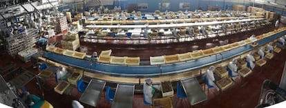En Ignacio González Montes, la limpieza del pescado sigue haciéndose a mano, como en los inicios.