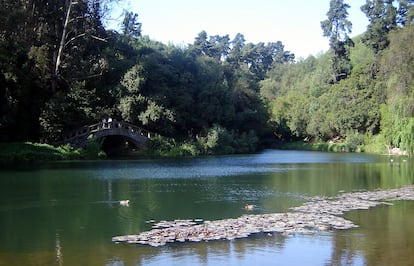 El sector de la laguna del Jardín Botánico en Viña del Mar, Región de Valparaíso (Chile), en 2008.