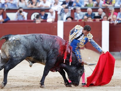 Rafaelillo, ante un miura, en la plaza de Las Ventas, el 11 de junio de 2017.