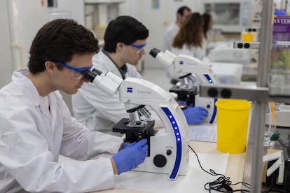 Alumnos de la facultad de Medicina de la Universidad de Sevilla en el laboratorio durante una práctica de Biomedicina.