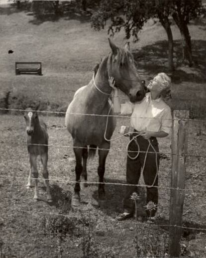 Doris Day, em uma foto de arquivo pessoal, sem data.