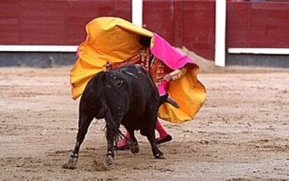 Vital Procuna, en apuros cuando toreaba por faroles a su segundo novillo.