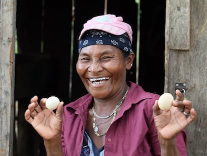 Una mujer de la Muskitia, en Honduras, con dos huevos recién recogidos, en mayo de 2023. El proyecto 'Yamni Iwanka' en esta región significa el buen vivir, y reconoce la estrecha relación entre el cambio climático y el género. Muchas mujeres de la zona están transformando sus vidas haciéndose más resilientes al cambio climático a través de sus huertos familiares, la pesca y la producción avícola. Es uno de los procesos que mejor apoyan la independencia de las mujeres indígenas: logran independencia económica, pero también ganan en empoderamiento e igualdad en sus propias comunidades.