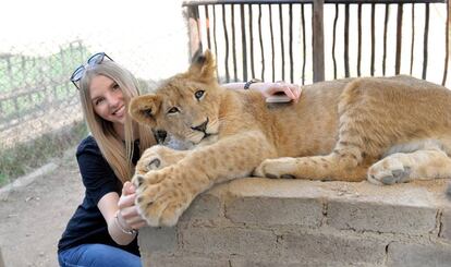 Una chica posa con un cachorro de león en Sudáfrica.
