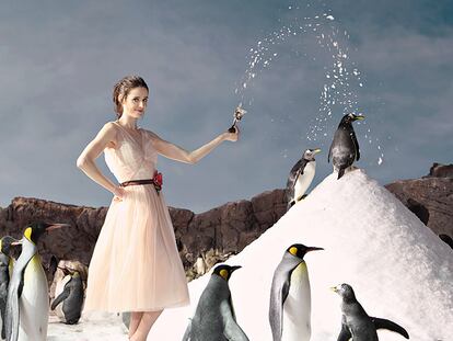 Pilar López de Ayala: "Mi fantasía es poner en marcha una máquina de hacer nieve para combatir el deshielo"