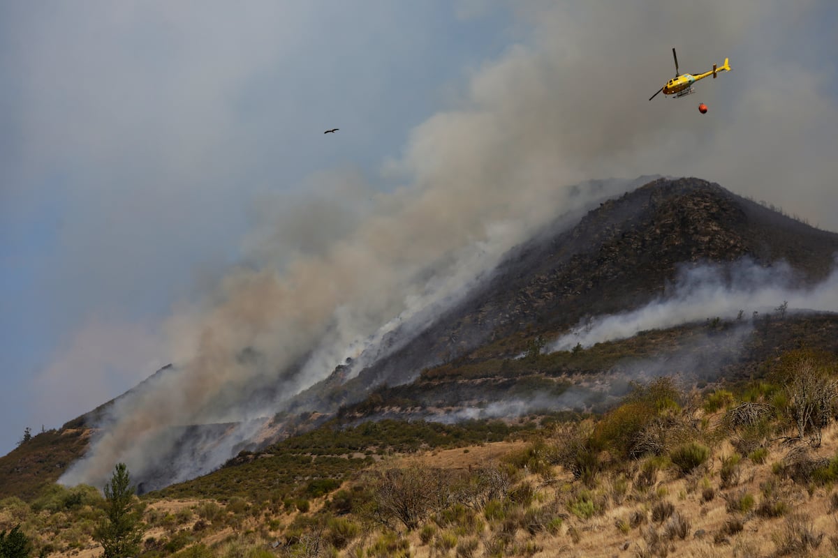 Última hora de los incendios en España, en directo | Mañueco comparece en las Cortes para dar cuenta de su gestión de los incendios en Castilla y León