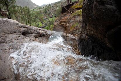 Uno de los torrentes que alimentan estos días la presa de Soria, el mayor embalse de Gran Canaria, situado en la vertiente suroeste. 