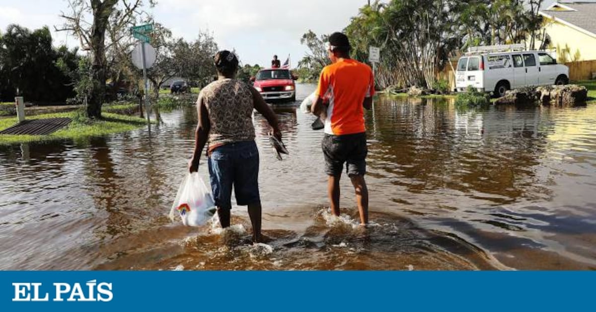 El huracán Irma deja siete millones de usuarios sin luz en Florida ...